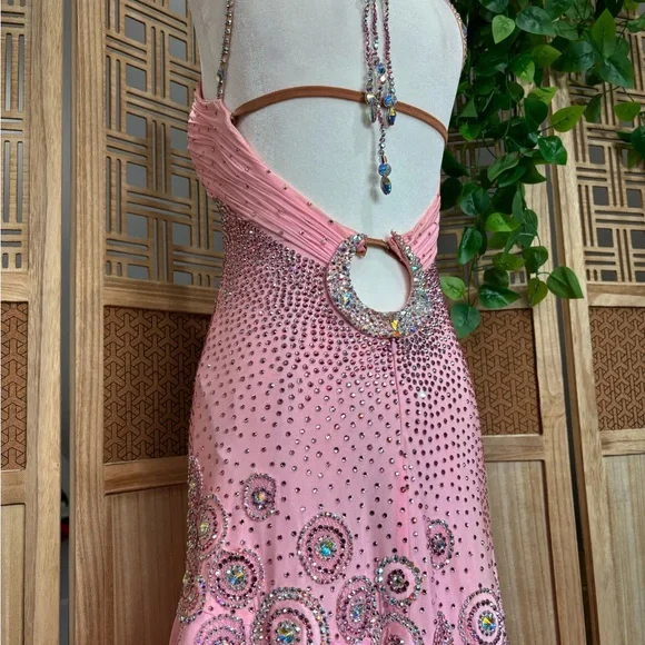 Chrisanne Couture Pink Ballroom Gown with Removable Standard Floats - Picture 5 of 9